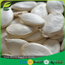 best pumpkin seeds company from China